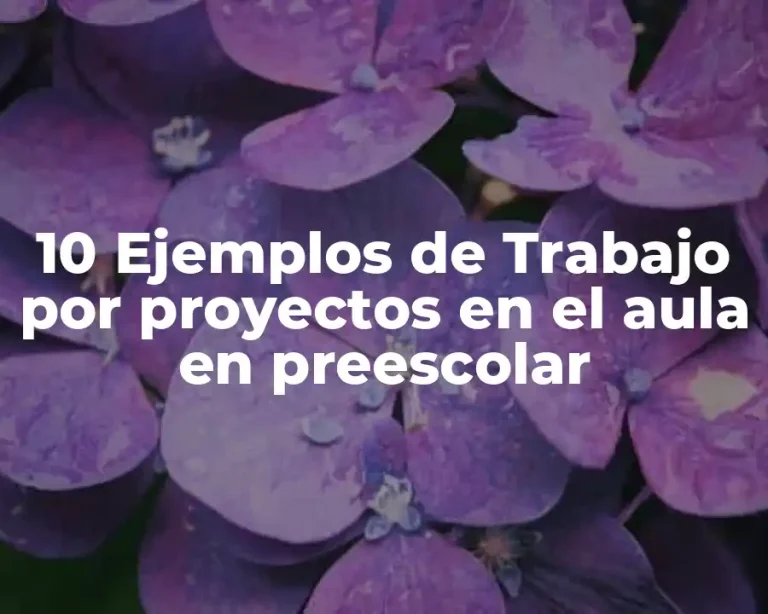 10 Ejemplos de Trabajo por proyectos en el aula en preescolar