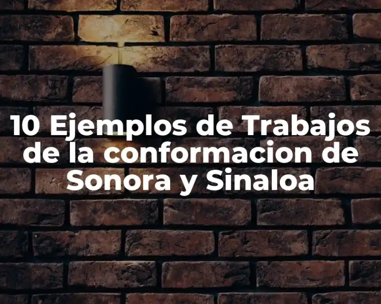 10 Ejemplos de Trabajos de la conformacion de Sonora y Sinaloa