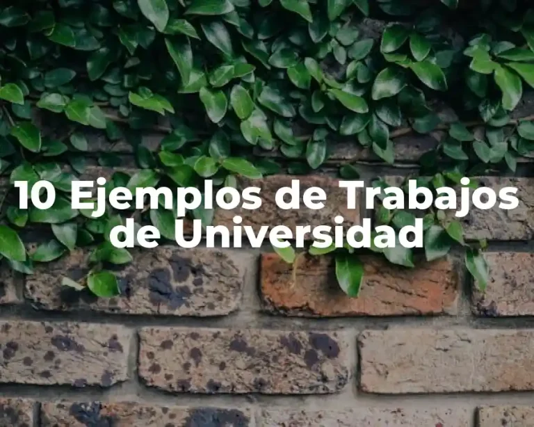 10 Ejemplos de Trabajos de Universidad