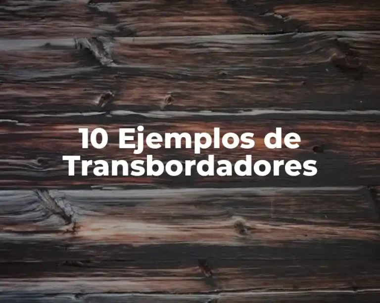 10 Ejemplos de Transbordadores
