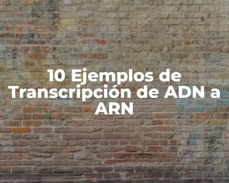 10 Ejemplos de Transcripción de ADN a ARN