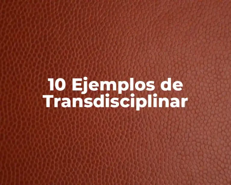 10 Ejemplos de Transdisciplinar