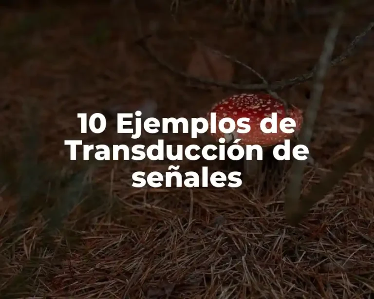 10 Ejemplos de Transducción de señales
