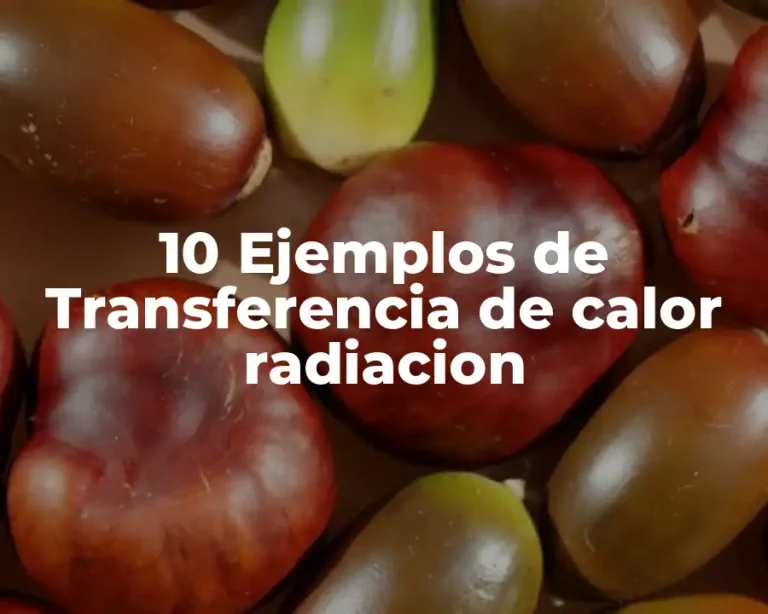 10 Ejemplos de Transferencia de calor radiacion