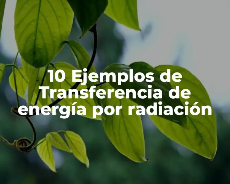 10 Ejemplos de Transferencia de energía por radiación