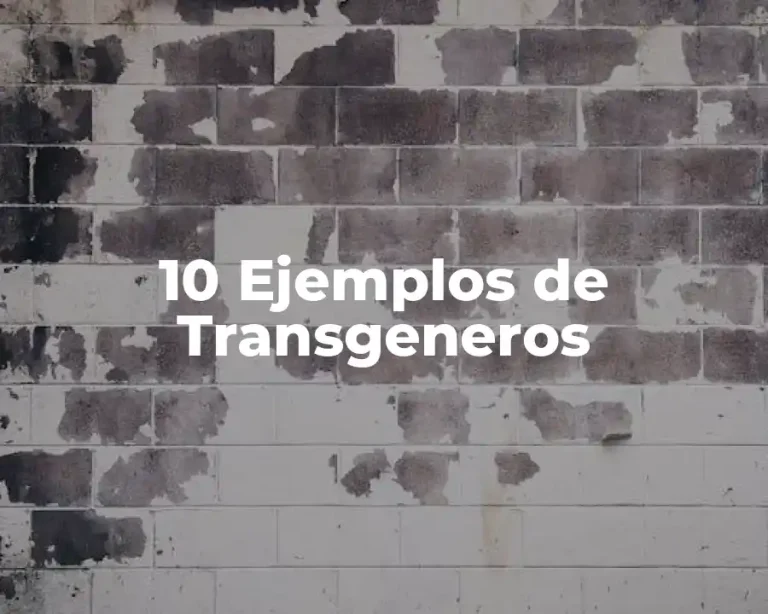 10 Ejemplos de Transgeneros