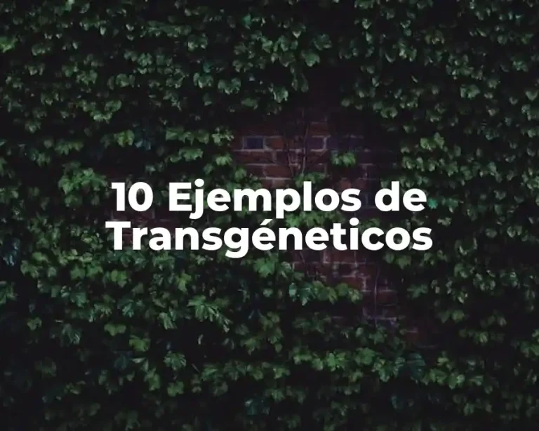 10 Ejemplos de Transgéneticos