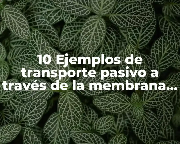 10 Ejemplos de transporte pasivo a través de la membrana celular