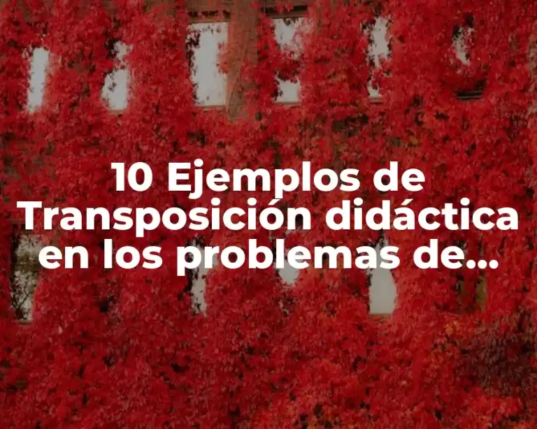 10 Ejemplos de Transposición didáctica en los problemas de números con signos