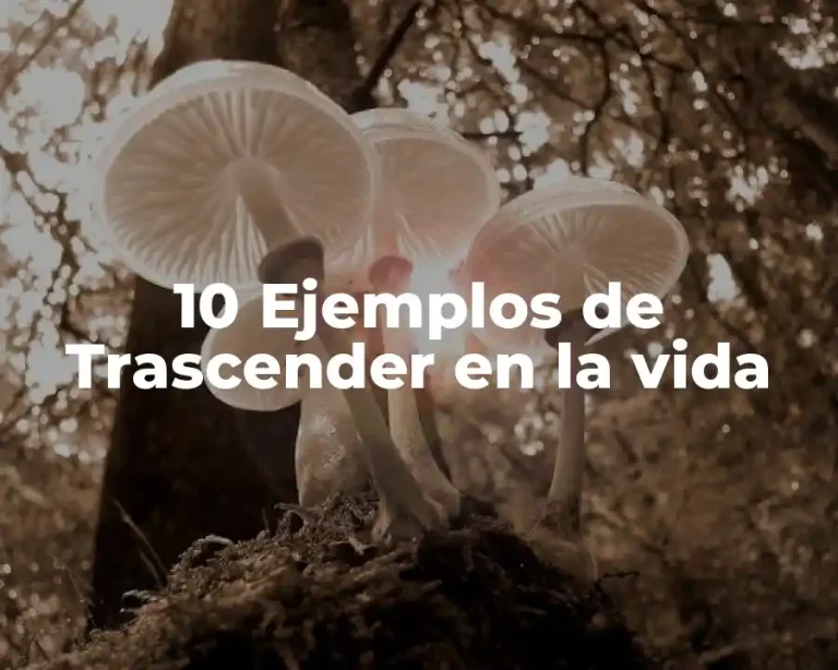10 Ejemplos de Trascender en la vida