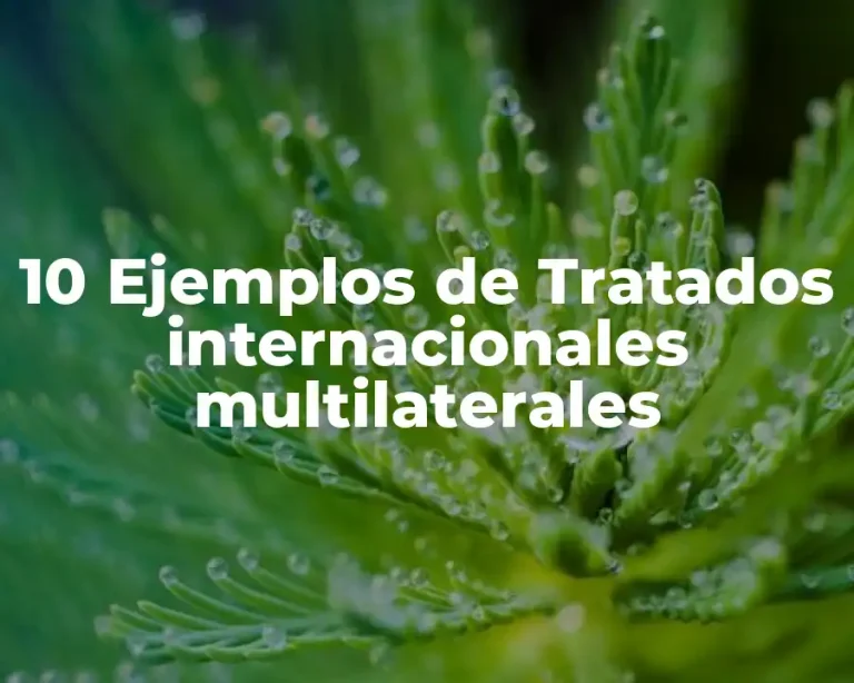 10 Ejemplos de Tratados internacionales multilaterales