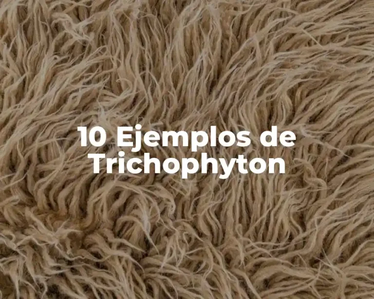10 Ejemplos de Trichophyton