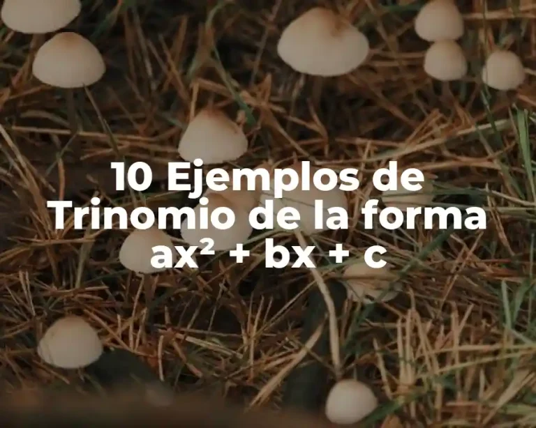 10 Ejemplos de Trinomio de la forma ax² + bx + c