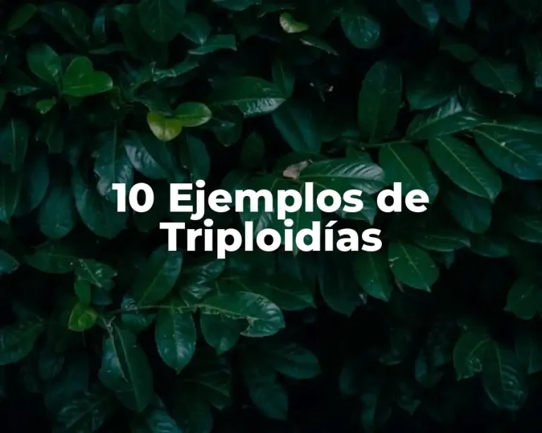 10 Ejemplos de Triploidías