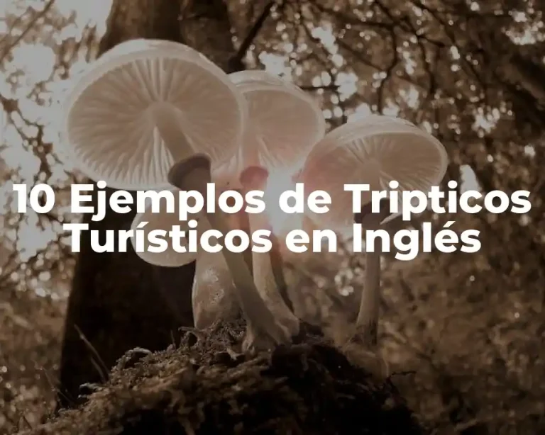 10 Ejemplos de Tripticos Turísticos en Inglés