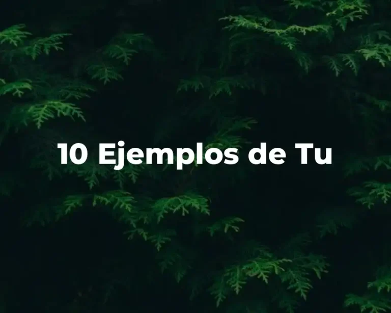10 Ejemplos de Tu