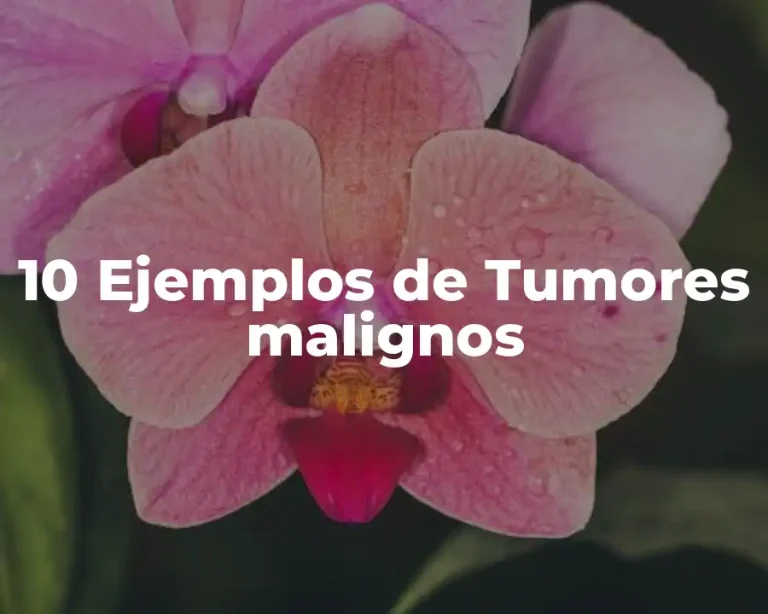 10 Ejemplos de Tumores malignos