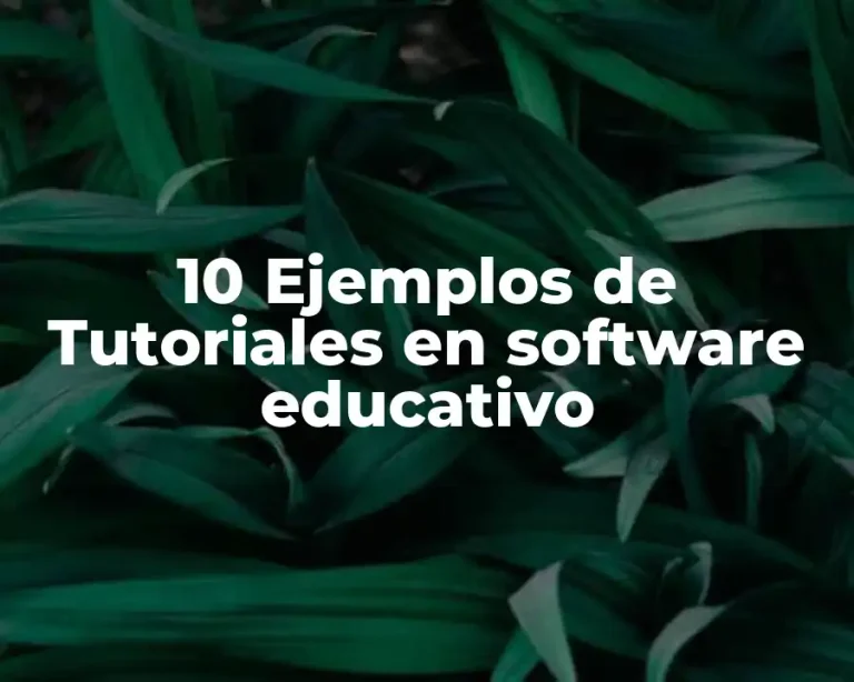 10 Ejemplos de Tutoriales en software educativo
