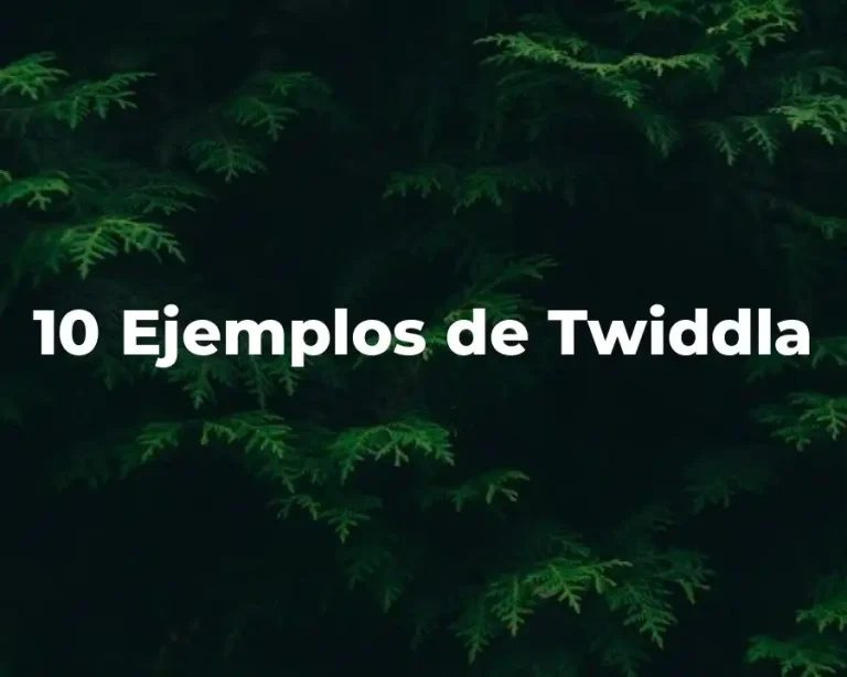 10 Ejemplos de Twiddla