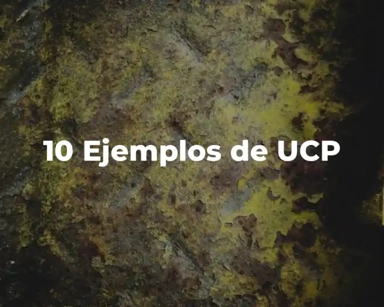 10 Ejemplos de UCP