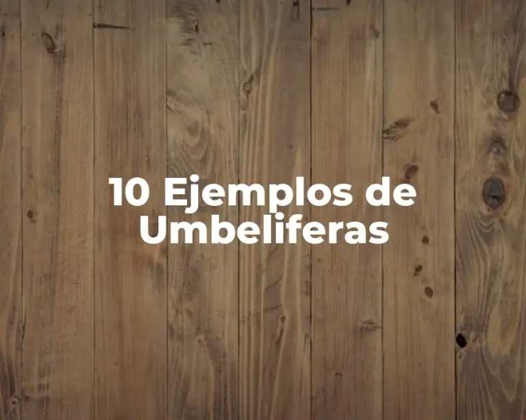 10 Ejemplos de Umbeliferas