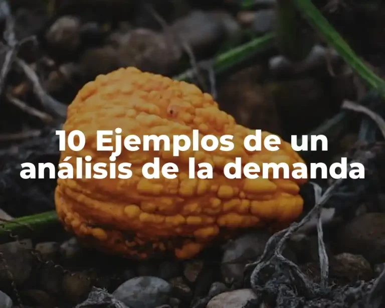 10 Ejemplos de un análisis de la demanda