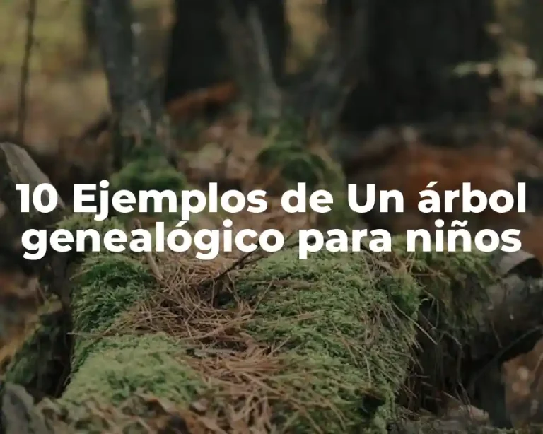 10 Ejemplos de Un árbol genealógico para niños