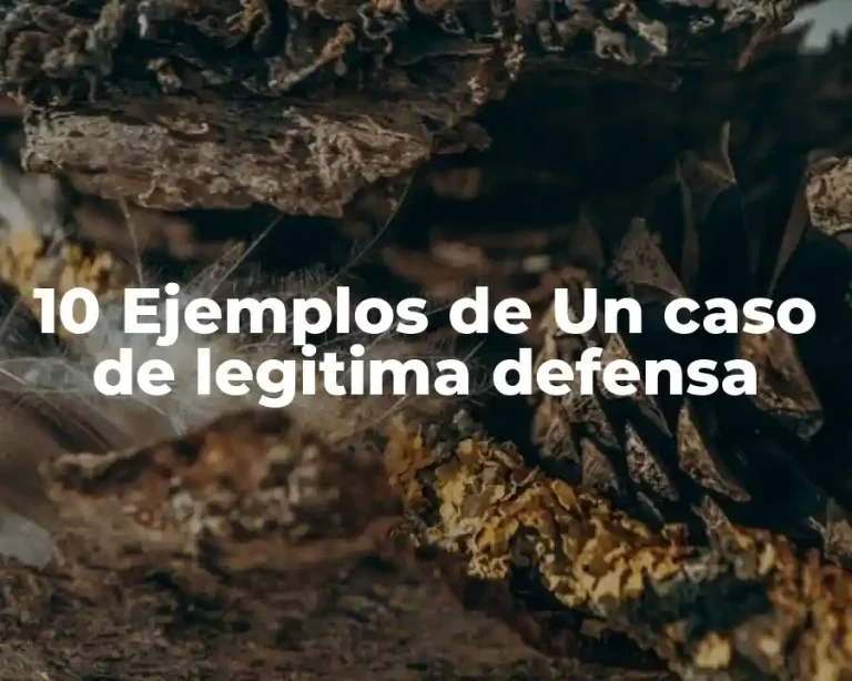 10 Ejemplos de Un caso de legitima defensa