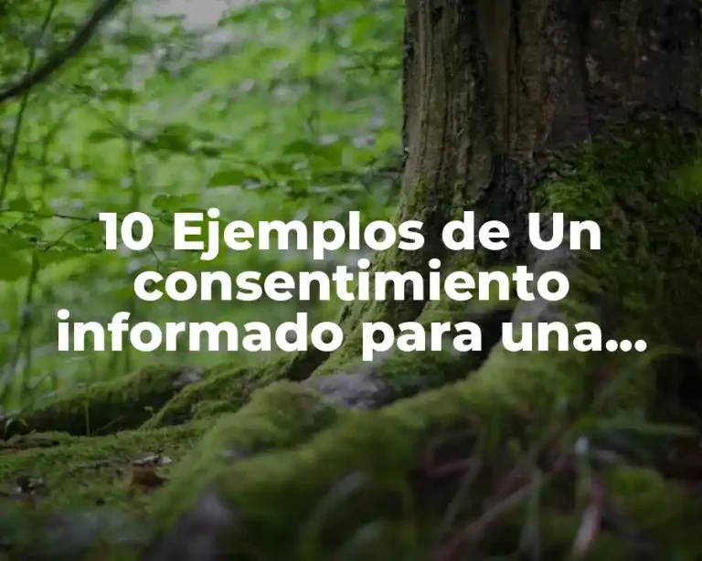 10 Ejemplos de Un consentimiento informado para una investigación