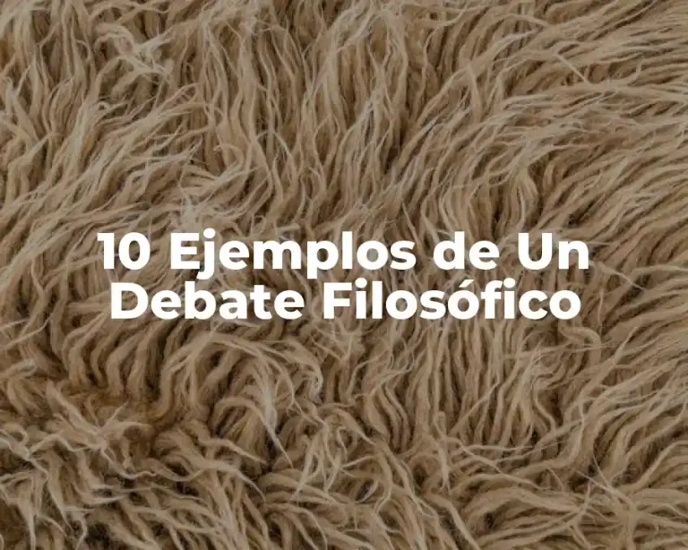 10 Ejemplos de Un Debate Filosófico