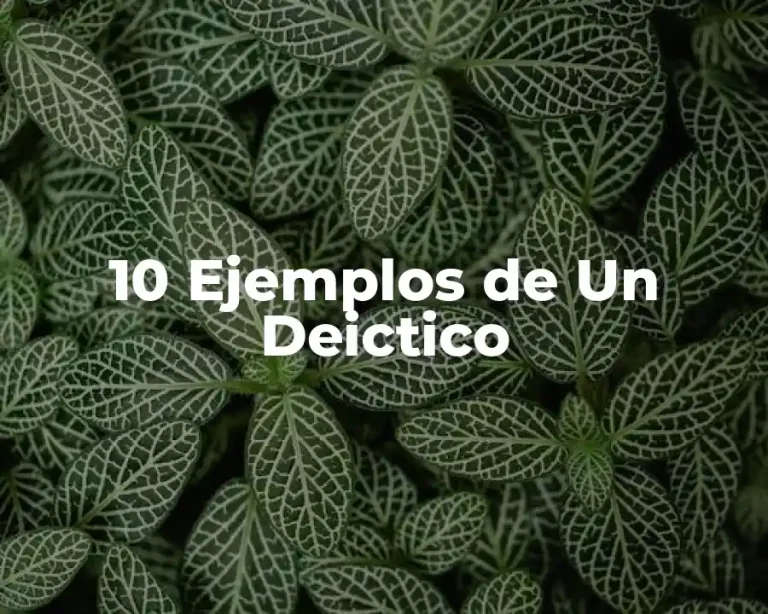 10 Ejemplos de Un Deictico