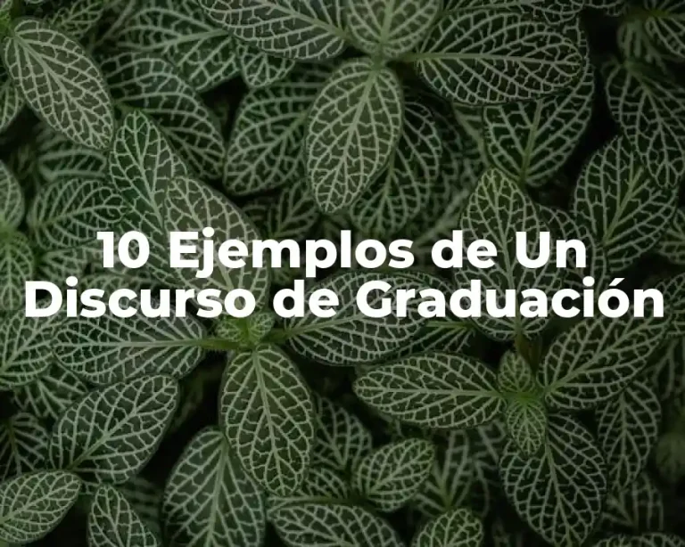 10 Ejemplos de Un Discurso de Graduación