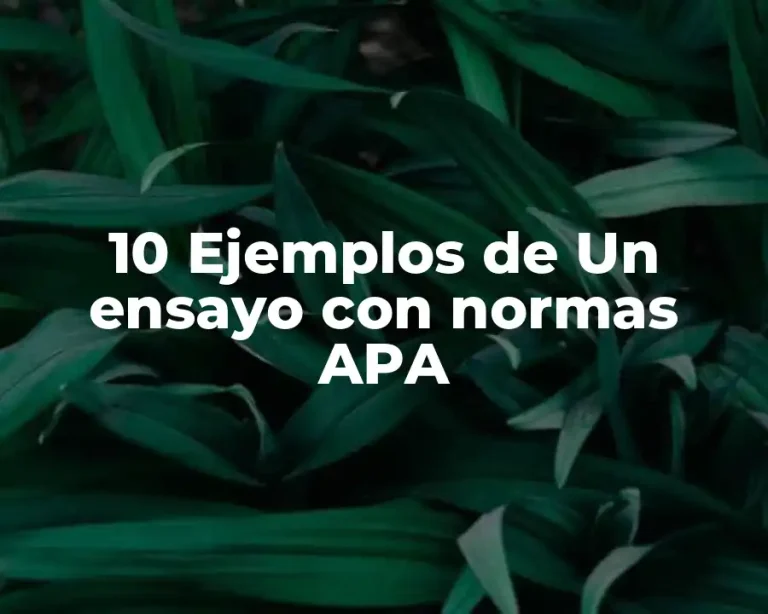 10 Ejemplos de Un ensayo con normas APA