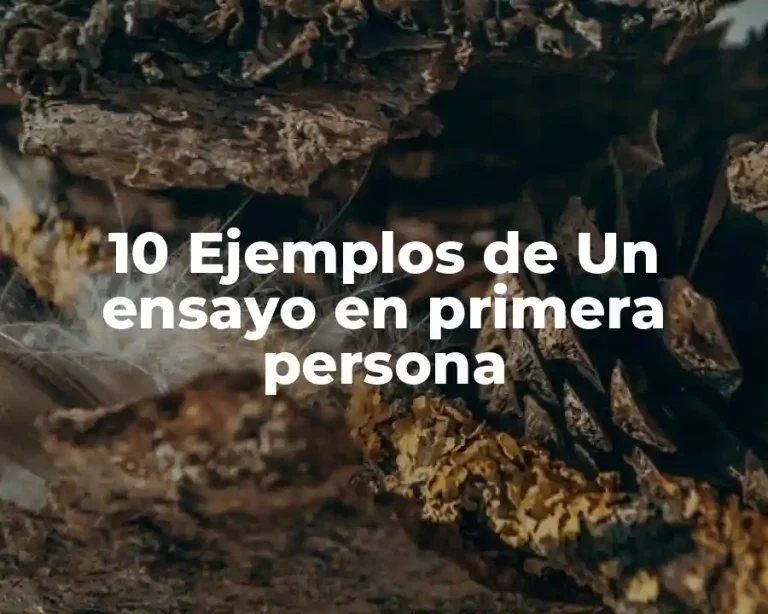10 Ejemplos de Un ensayo en primera persona