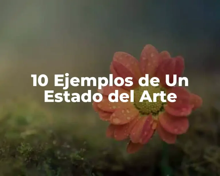 10 Ejemplos de Un Estado del Arte