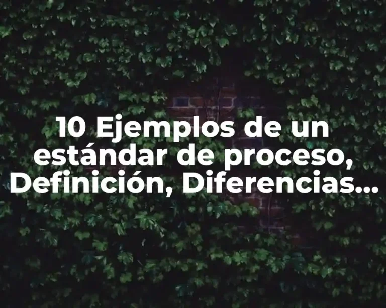 10 Ejemplos de un estándar de proceso, Definición, Diferencias y para que sirve