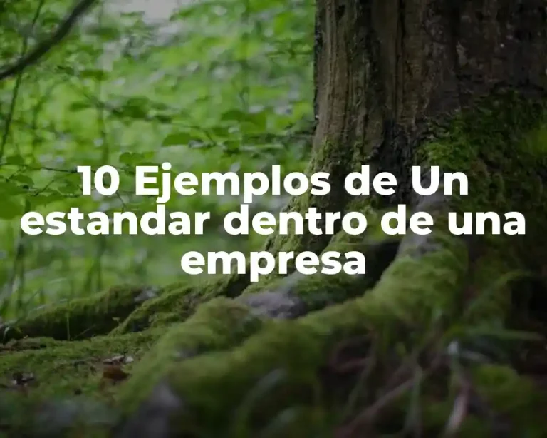 10 Ejemplos de Un estandar dentro de una empresa