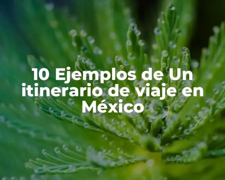 10 Ejemplos de Un itinerario de viaje en México