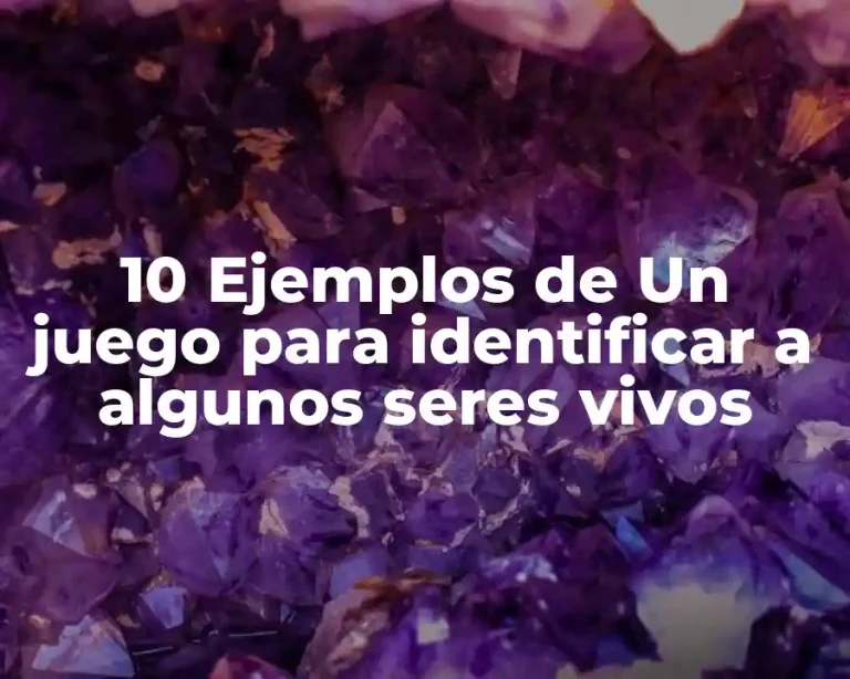10 Ejemplos de Un juego para identificar a algunos seres vivos