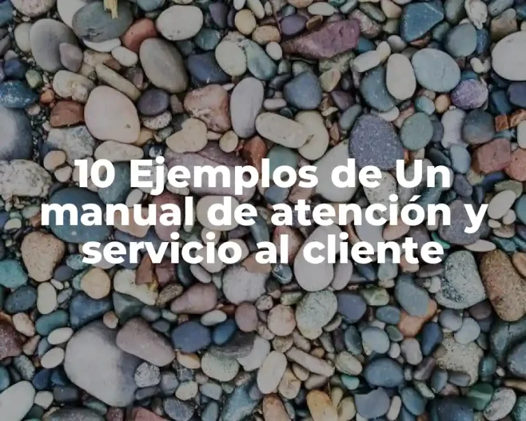 10 Ejemplos de Un manual de atención y servicio al cliente