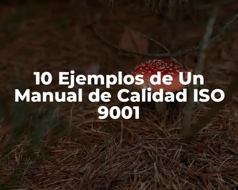 10 Ejemplos de Un Manual de Calidad ISO 9001