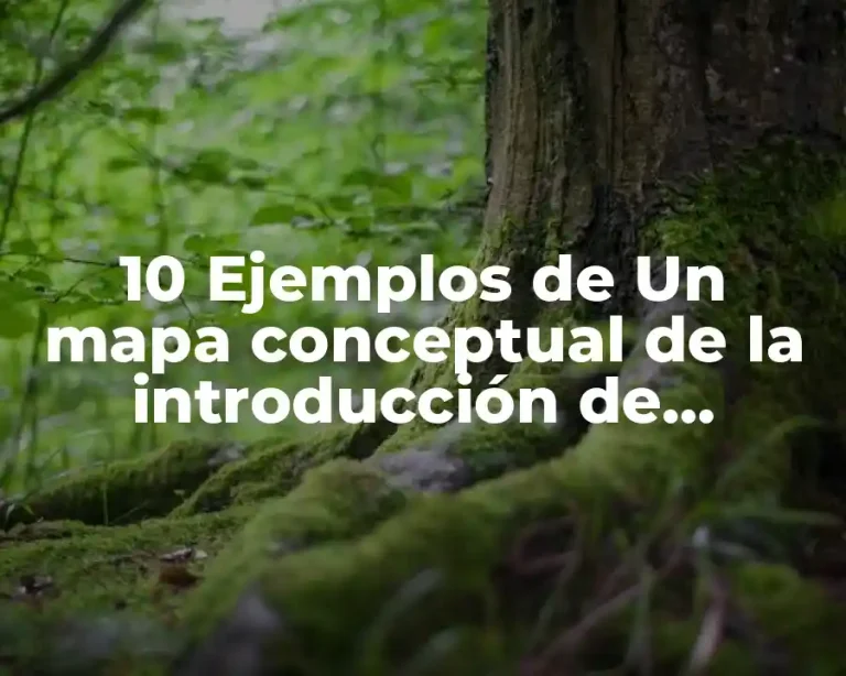 10 Ejemplos de Un mapa conceptual de la introducción de bioproductos