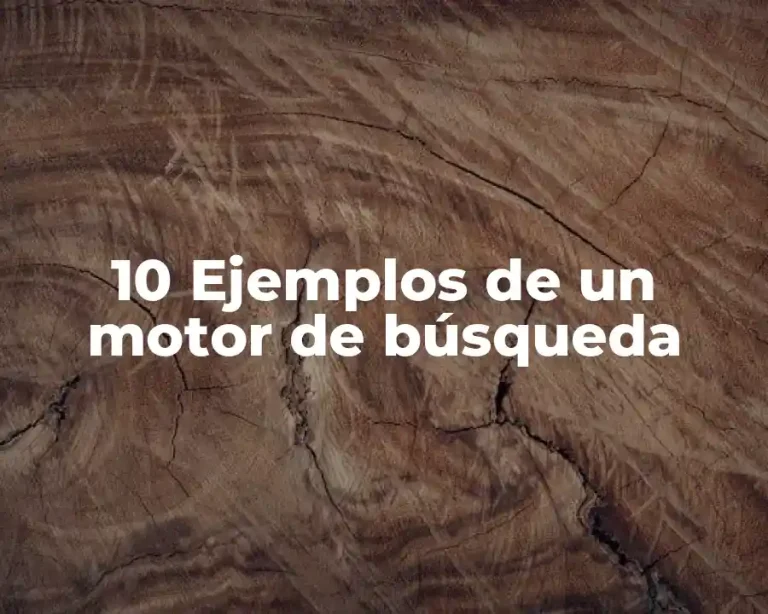 10 Ejemplos de un motor de búsqueda