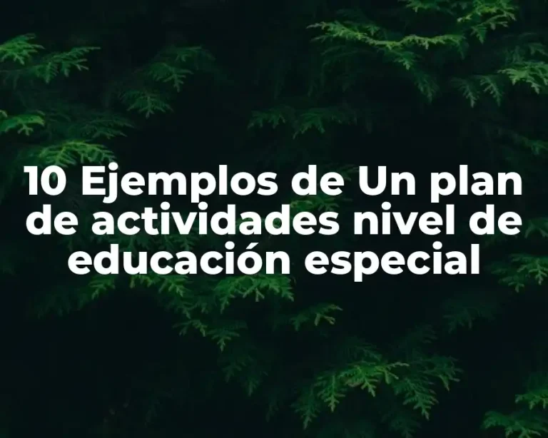 10 Ejemplos de Un plan de actividades nivel de educación especial
