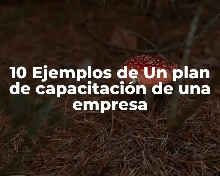 10 Ejemplos de Un plan de capacitación de una empresa