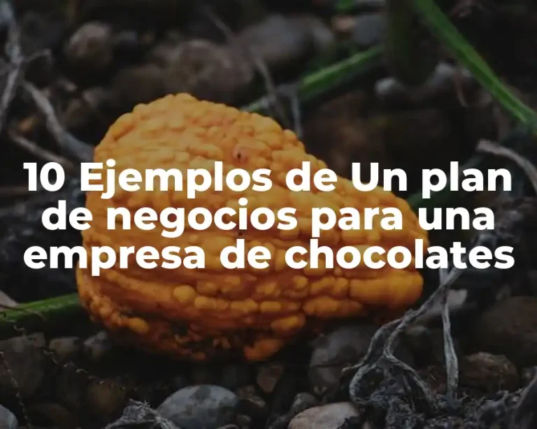 10 Ejemplos de Un plan de negocios para una empresa de chocolates