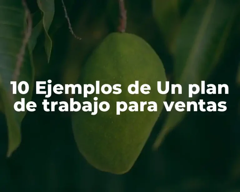 10 Ejemplos de Un plan de trabajo para ventas
