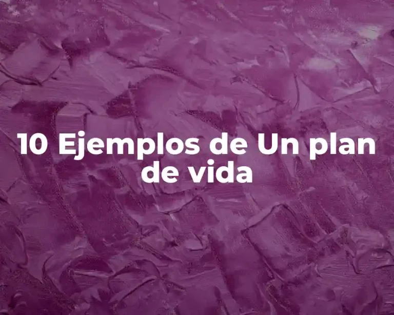 10 Ejemplos de Un plan de vida