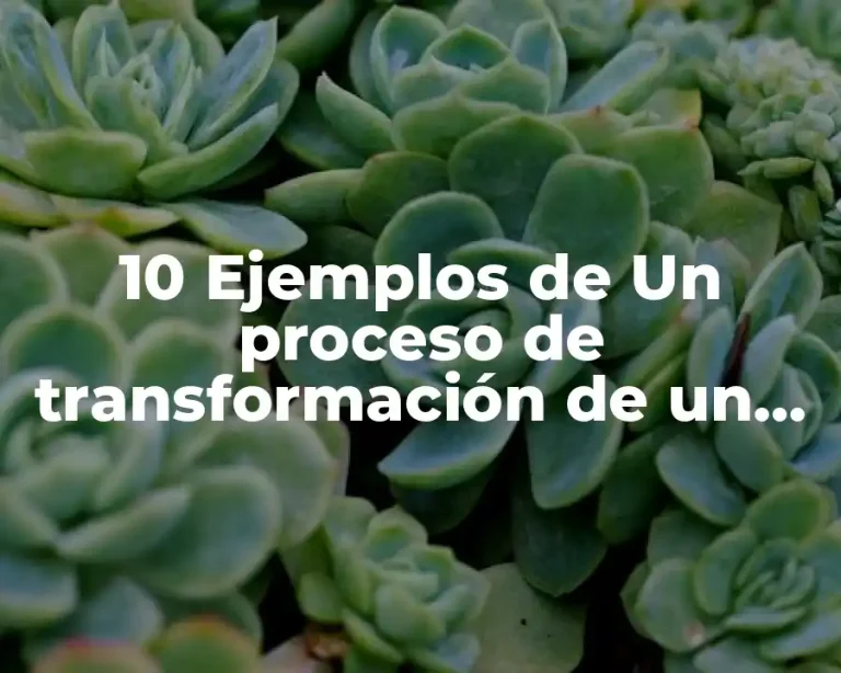 10 Ejemplos de Un proceso de transformación de un producto