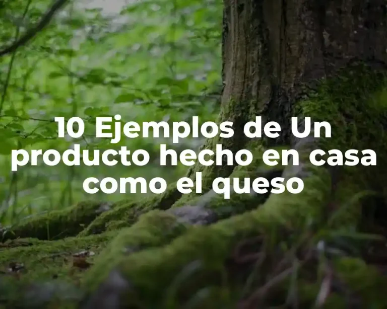 10 Ejemplos de Un producto hecho en casa como el queso